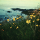Imagen: Flickr